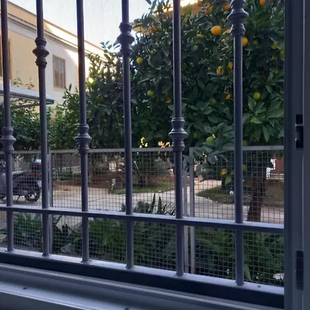 Momenti E Monumenti