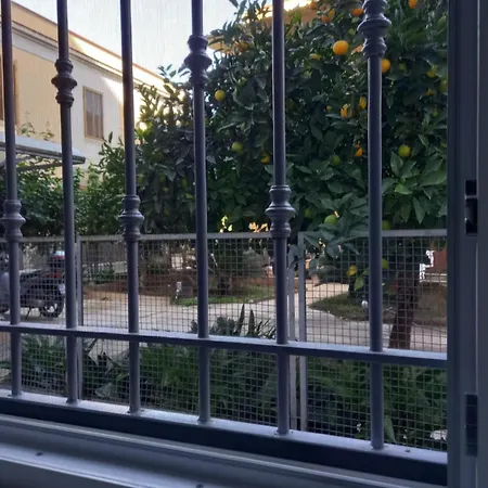 Momenti E Monumenti