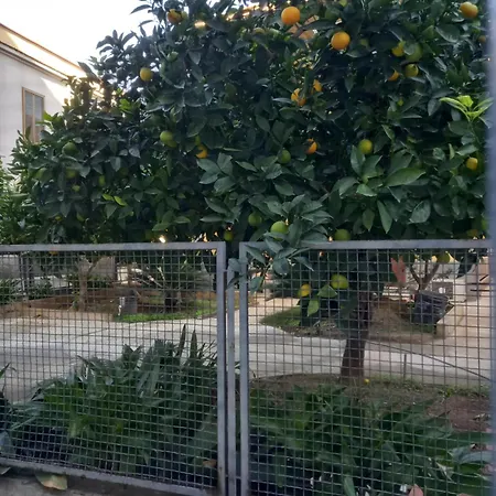 Momenti E Monumenti Holiday home Palermo